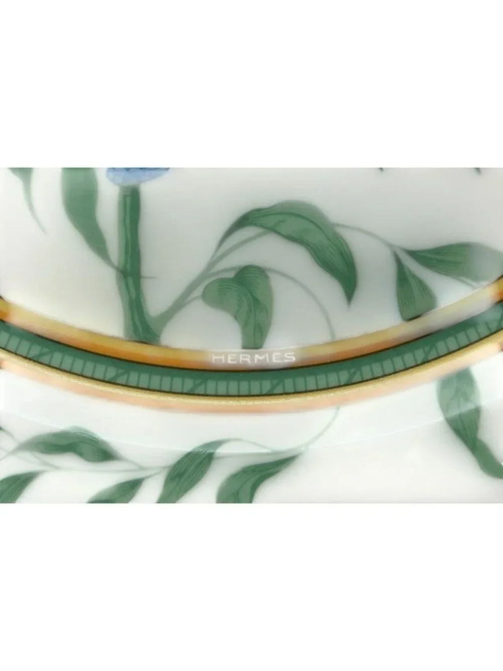 Hermes Toucan Plate Toucans 25 South American Bird